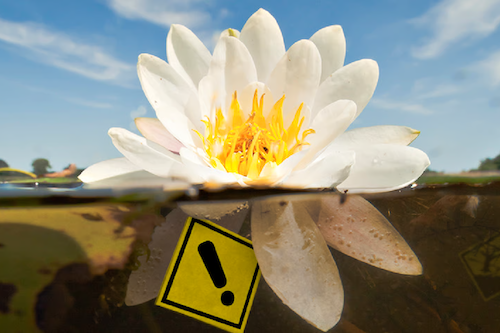 Stopwatervervuiling natuurmonumenten